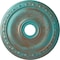 Ekena Millwork Jackson Ceiling Medallion (Fits Canopies up to 5 1/8"), 20"OD x 3 5/8"ID x 1"P, Copper Green Patina CM20JACGS - alternate 1